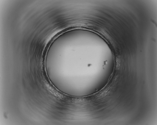 X0000099461020200805231801