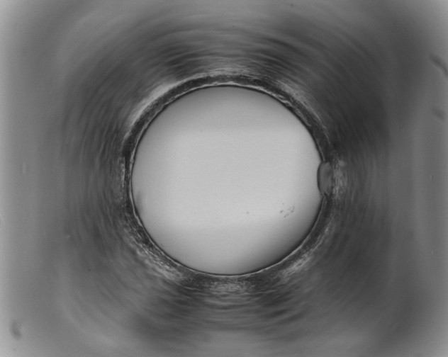 X0000099461021200805231801