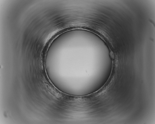 X0000099461022200805231801