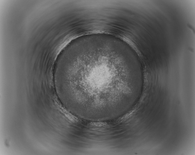 X0000099461023200805231801