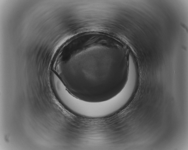 X0000099461024200805231801