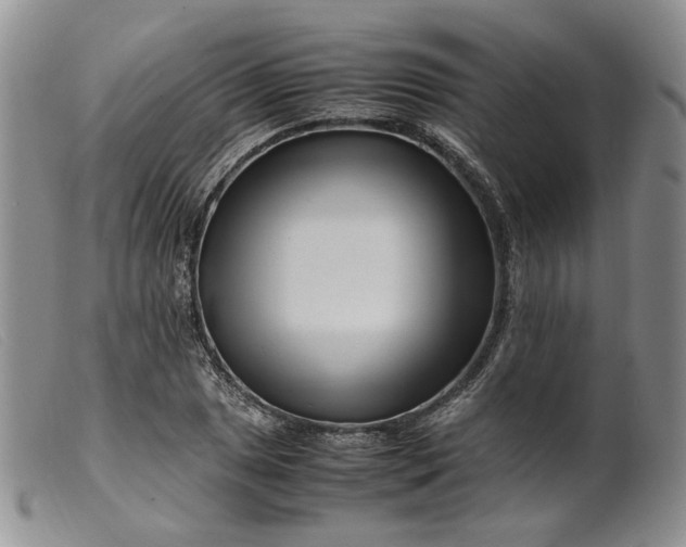 X0000099461025200805231801