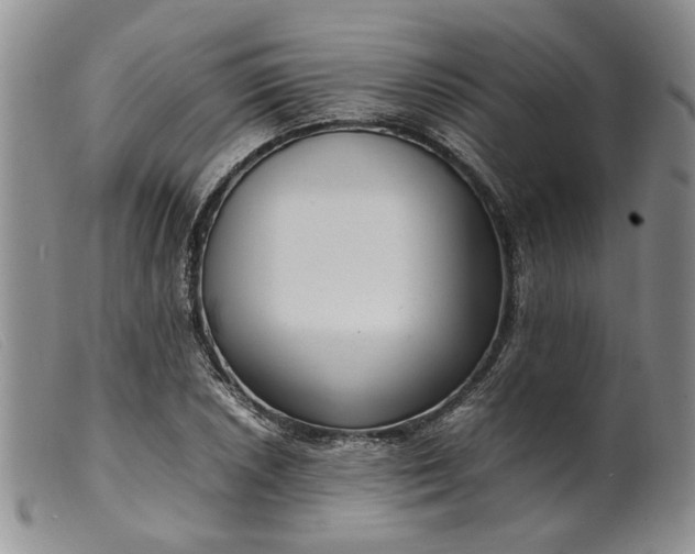 X0000099461026200805231801