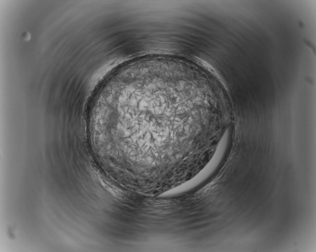 X0000099461027200805231801