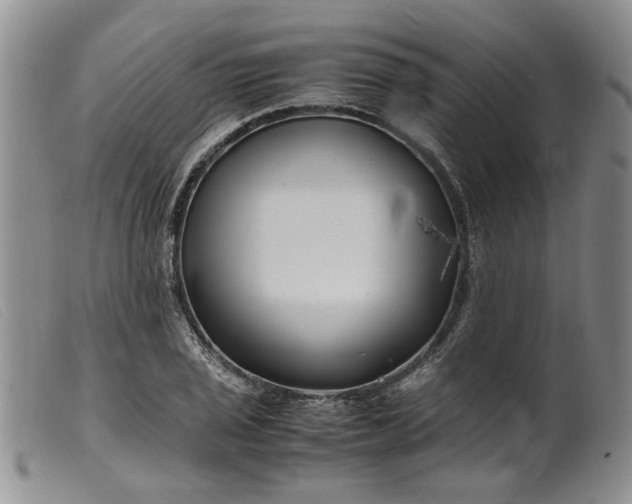 X0000099461029200805231801