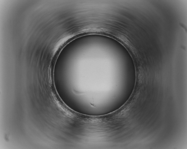 X0000099461030200805231801