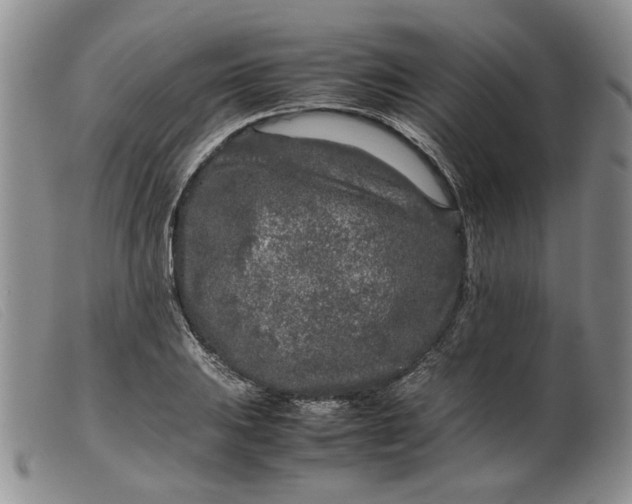 X0000099461031200805231801