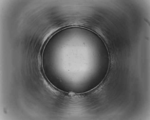 X0000099461032200805231801