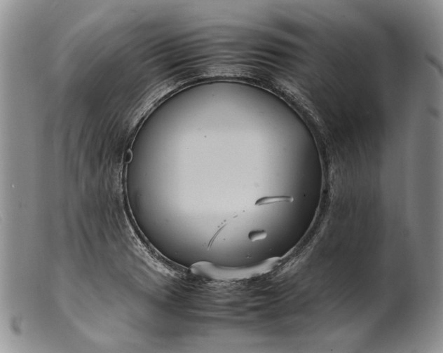 X0000099461033200805231801