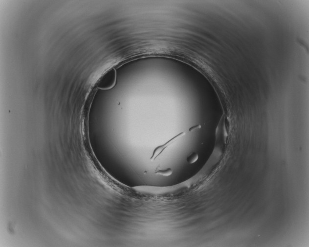 X0000099461034200805231801