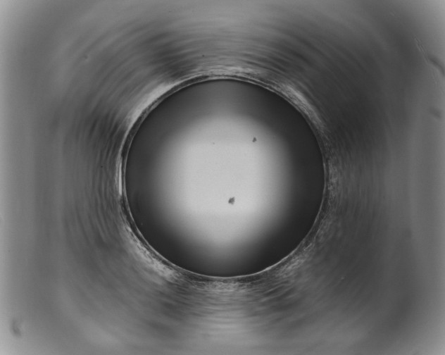 X0000099461036200805231801