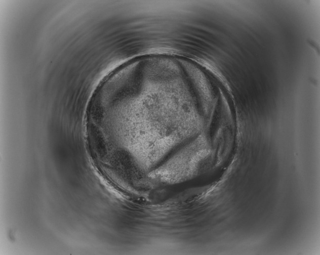 X0000099461037200805231801