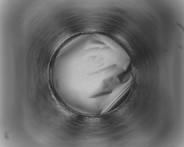 X0000099461039200805231801