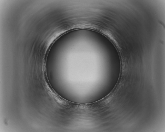 X0000099461040200805231801