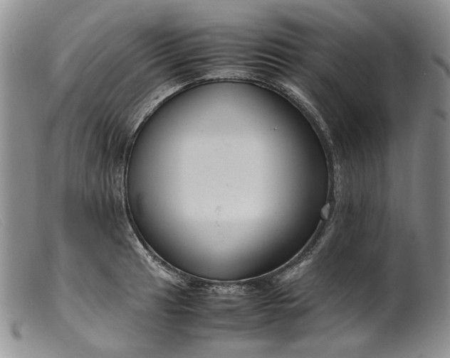 X0000099461041200805231801