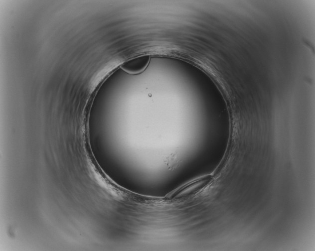 X0000099461042200805231801