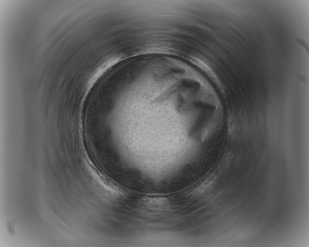 X0000099461043200805231801