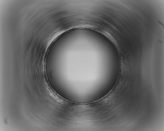 X0000099461044200805231802