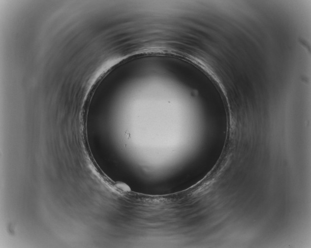 X0000099461045200805231802