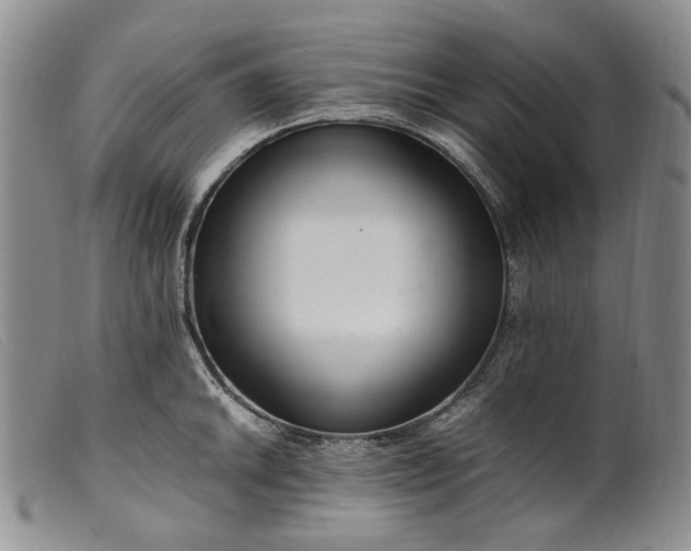 X0000099461046200805231802