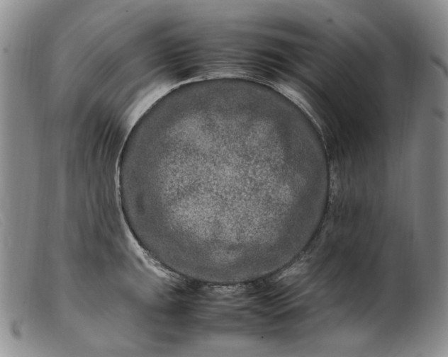 X0000099461047200805231802