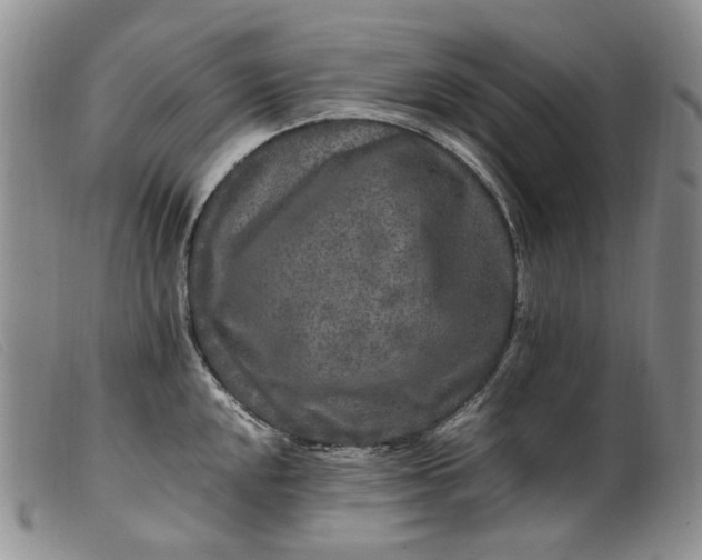 X0000099461048200805231802