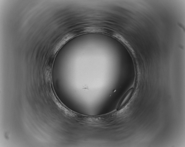 X0000099461049200805231802