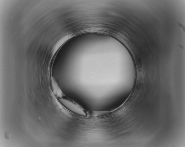 X0000099461050200805231802