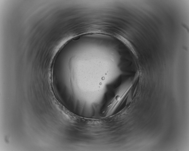 X0000099461051200805231802