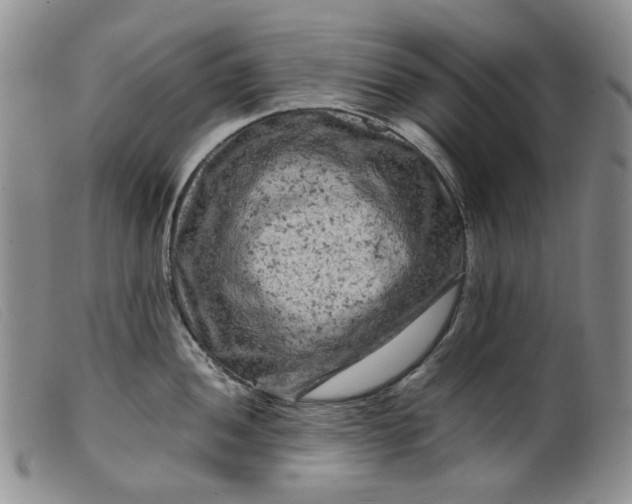 X0000099461052200805231802