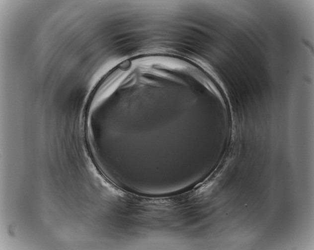 X0000099461053200805231802