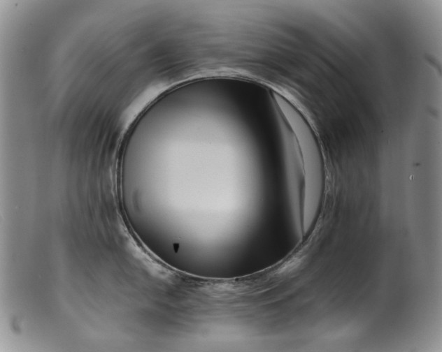 X0000099461054200805231802