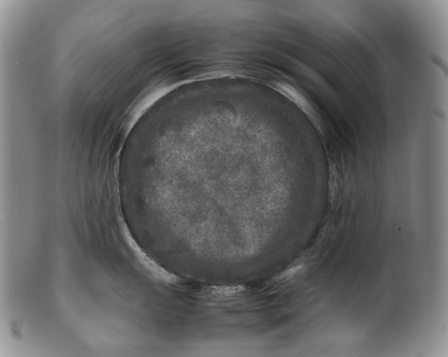 X0000099461055200805231802