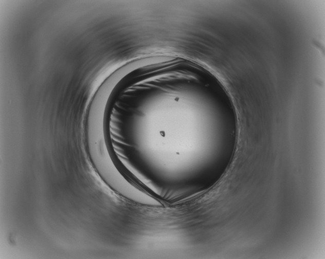 X0000099461056200805231802