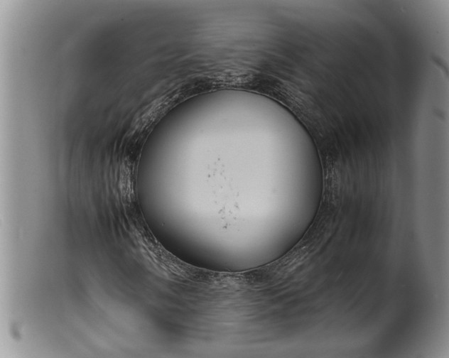 X0000099461058200805231801