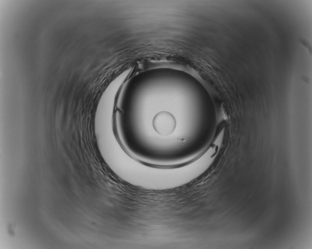 X0000099461059200805231801