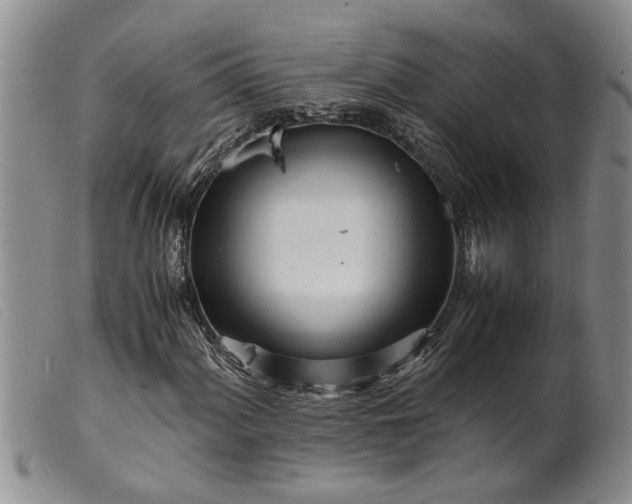 X0000099461060200805231801