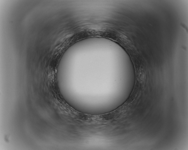 X0000099461061200805231801