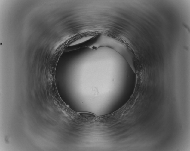 X0000099461064200805231801