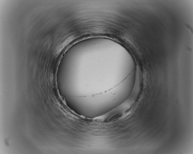 X0000099461065200805231801