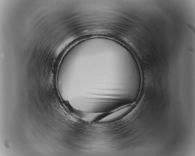 X0000099461066200805231801