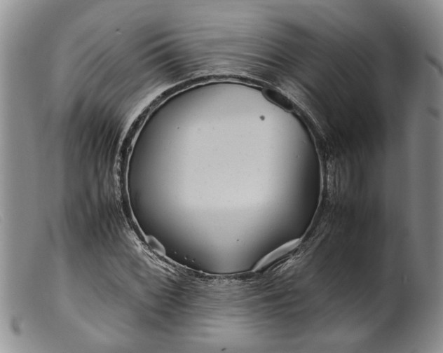 X0000099461068200805231801