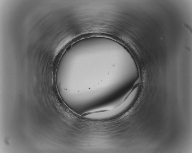 X0000099461069200805231801