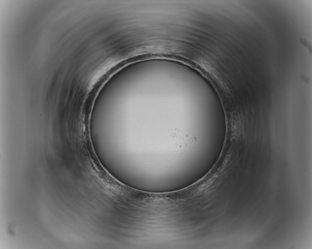 X0000099461070200805231801