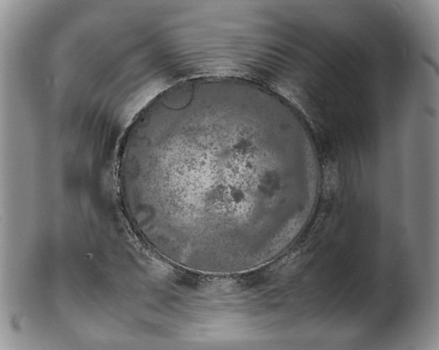 X0000099461071200805231801