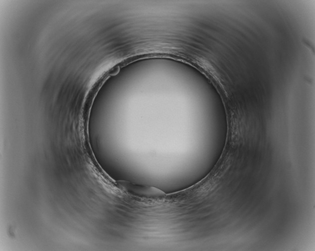 X0000099461072200805231801