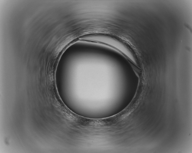 X0000099461073200805231801