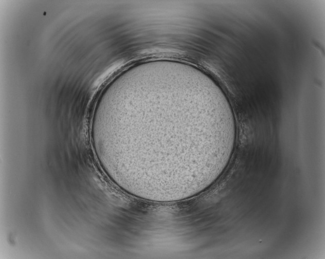 X0000099461074200805231801