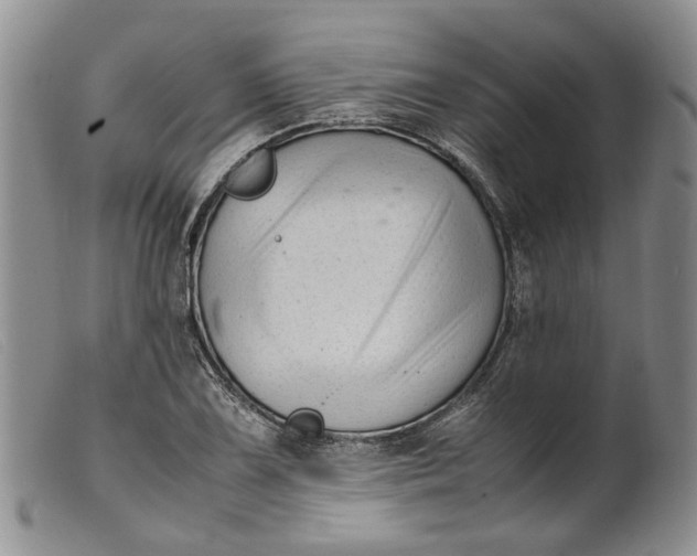 X0000099461075200805231801