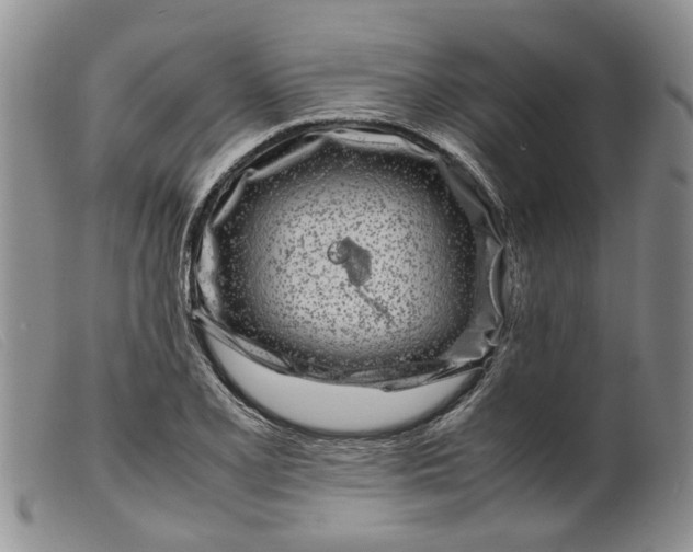 X0000099461077200805231801